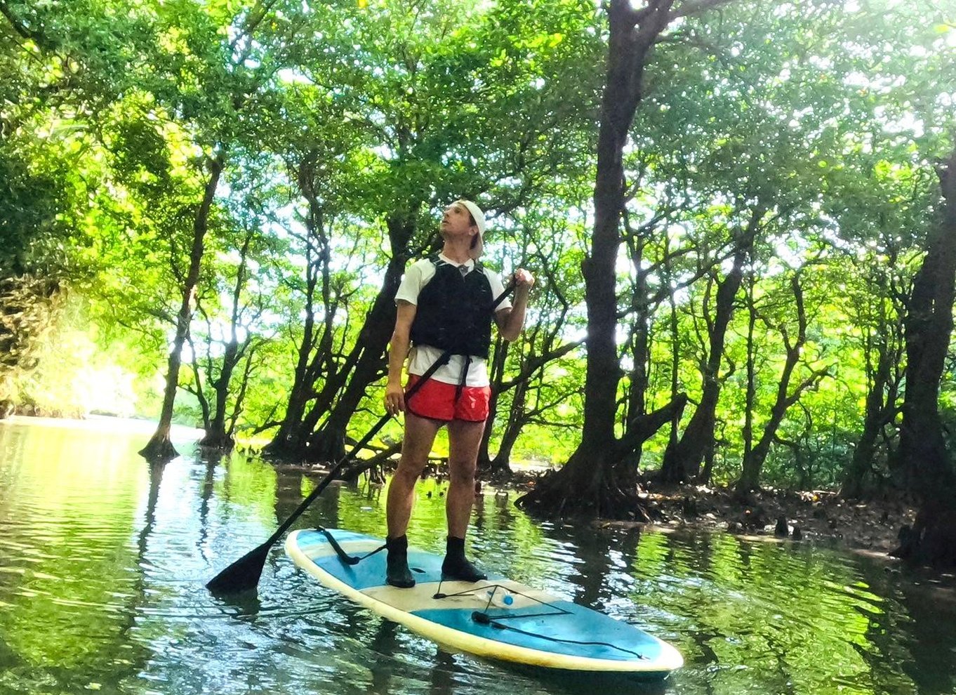 Ishigaki: Mangrove SUP eller kano & snorkling ved Phantom Island