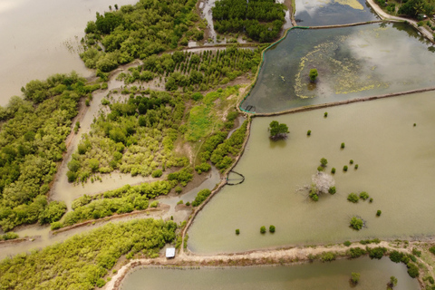 Bagek Kembar: Mangrove & Stingless Beekeeping Experience