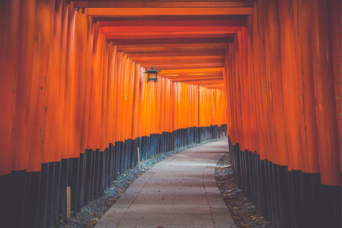 Tokyo Full Day Private Sightseeing Tour with English Driver