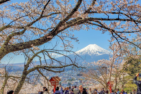 Depuis Tokyo : Excursion privée d'une journée au Mont Fuji et au lac Kawaguchiko