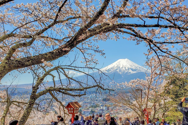 Depuis Tokyo : Excursion privée d'une journée au Mont Fuji et au lac Kawaguchiko