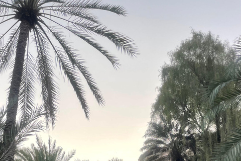 Muscat: Wadi Mibam, Sur, and Bimmah Sinkhole Day Trip