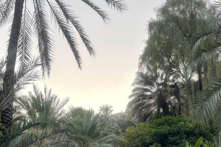 Muscat: Wadi Mibam, Sur, and Bimmah Sinkhole Day Trip