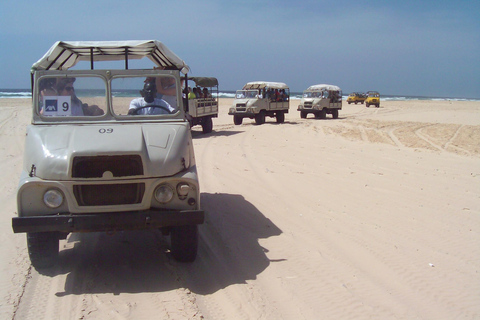 Dakar region: Lac Rose and Noflaye tortoise park