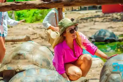 Zanzibar: Prison Island Private Half-Day Tour with Tortoises
