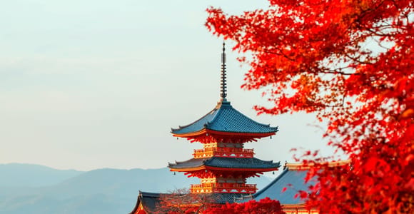 Osaka: Best of Kyoto & Nara Group Tour with 2 Iconic Routes