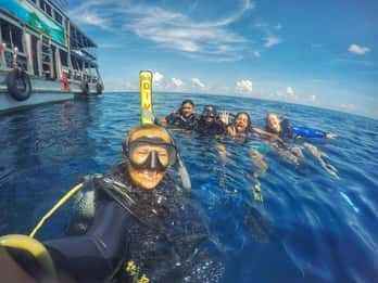 Koh Tao: PADI Try Diving Experience