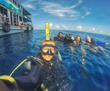 Koh Tao: Experiência de mergulho experimental PADI