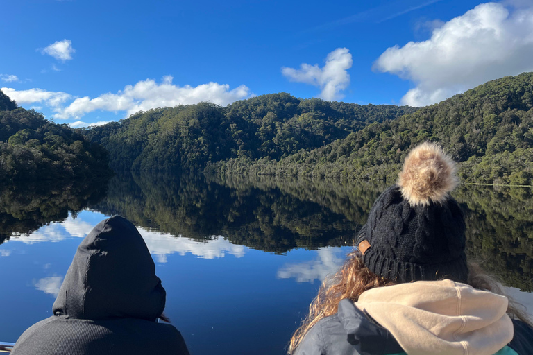 Tasmanien: (Ny turné) 6 dagars naturbaserad tur i liten gruppMotel Dubbelrum