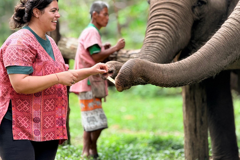 Chiang Mai Adventure: Rafting, ATV & Elephants Experience. Bamboo rafting (4km.) & 1 hrs. ATV.