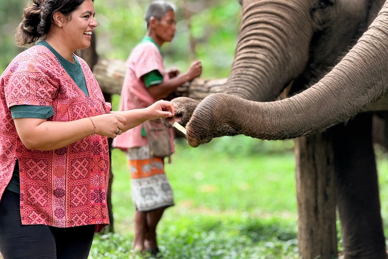 Chiang Mai Adventure: Rafting, ATV & Elephants Experience. Bamboo rafting (4km.) & 1 hrs. ATV.