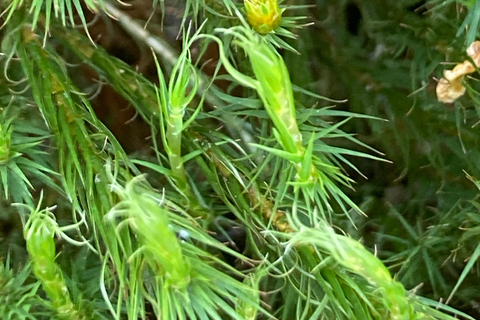 卡特琳湖电动自行车之旅