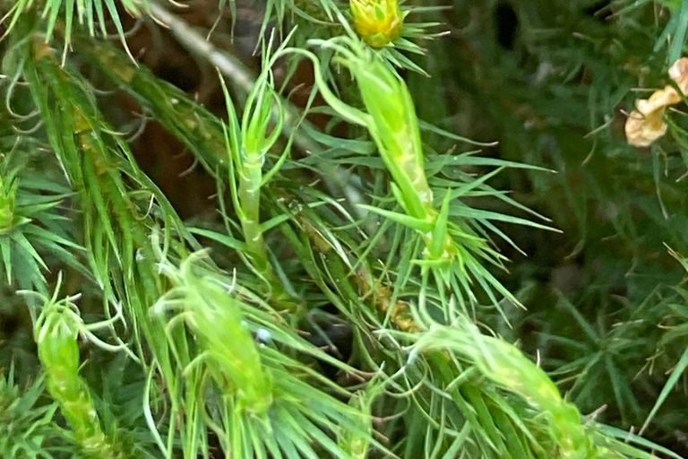 卡特琳湖电动自行车之旅