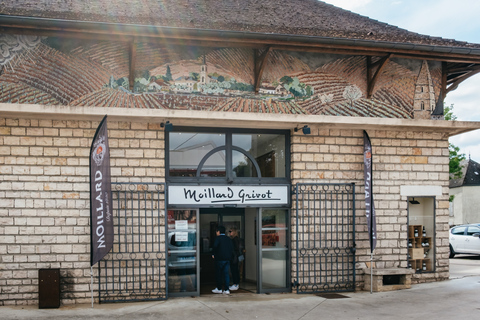 From Beaune: Burgundy Day Trip with 14 Wine Tastings