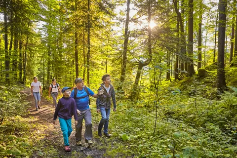 Lucerne : Randonnée guidée sur le Pilatus avec barbecue