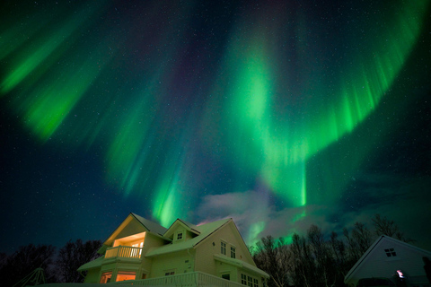 Tromsø : Safari en motoneige avec séjour à Aurora Crystal Lavvo