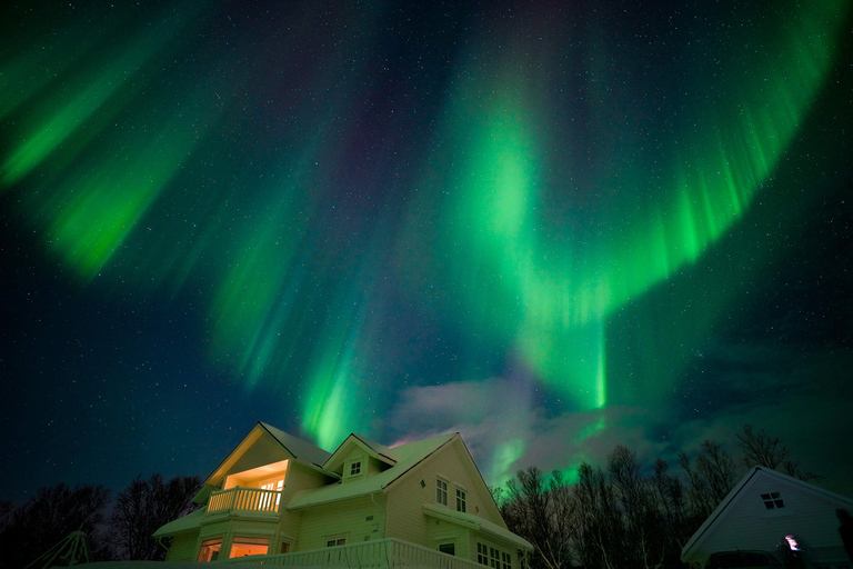 Tromsø: Safari in motoslitta con soggiorno Aurora Crystal Lavvo