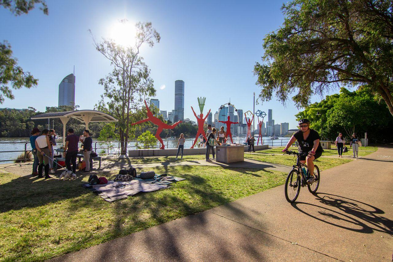 Bem-vindo a Brisbane: excursão de meio dia para grupos privadosMiniautocarro (até 11 pessoas) Partida de Brisbane