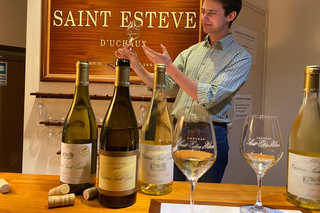 Vaucluse - Tasting & tour in Saint Estève: Our Viognier whites