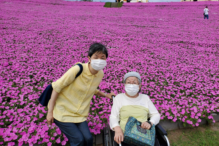 Full Day Private Tokyo Tour for Wheelchair Users