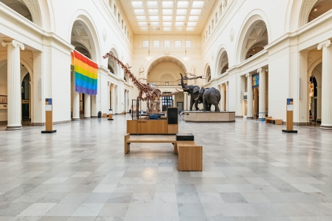Chicago: Field Museum of Natural History Ticket or VIP Tour Discovery Pass