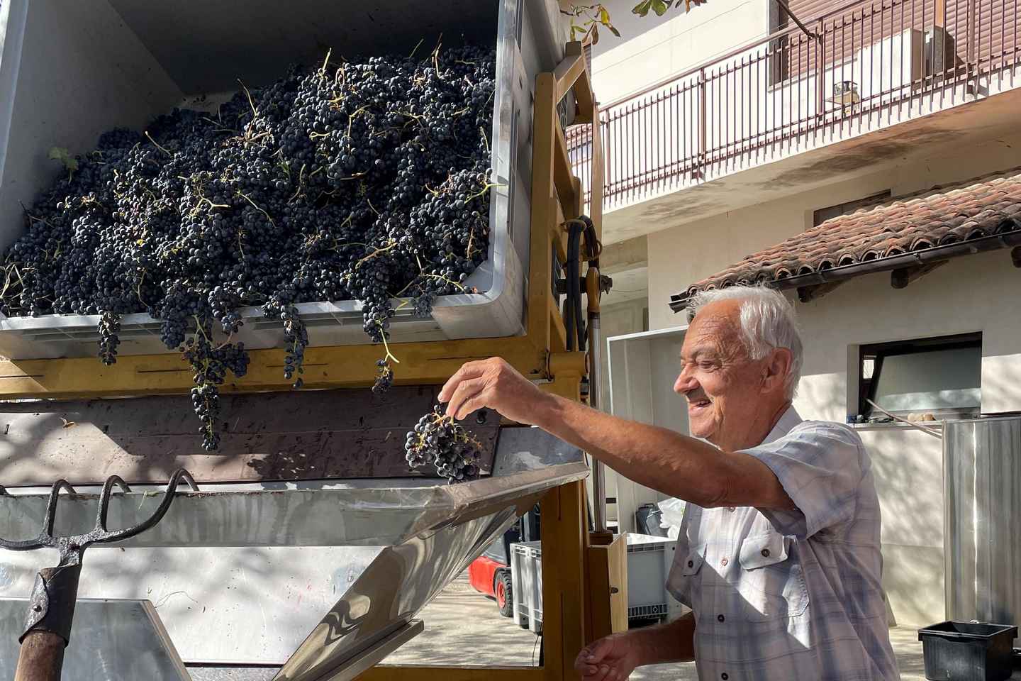 Alba: Barolo & Barbaresco Wine Tour