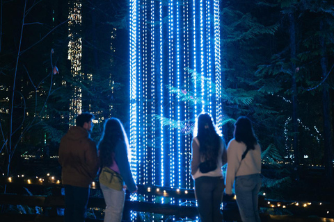 Capilano Suspension Bridge Canyon Lights Holiday Tour