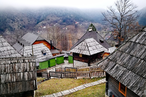 Vanuit Belgrado: trein Mokra Gora Sargan 8, Mecavnik en Zlatibor