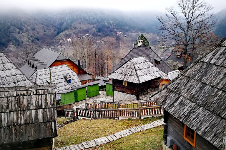 Vanuit Belgrado: trein Mokra Gora Sargan 8, Mecavnik en Zlatibor