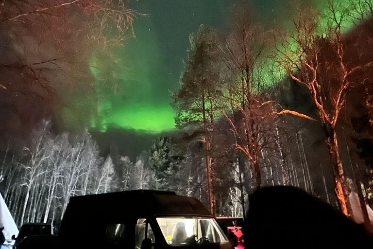 Rovaniemi: Northern Lights Hunters. Aurora + BBQ