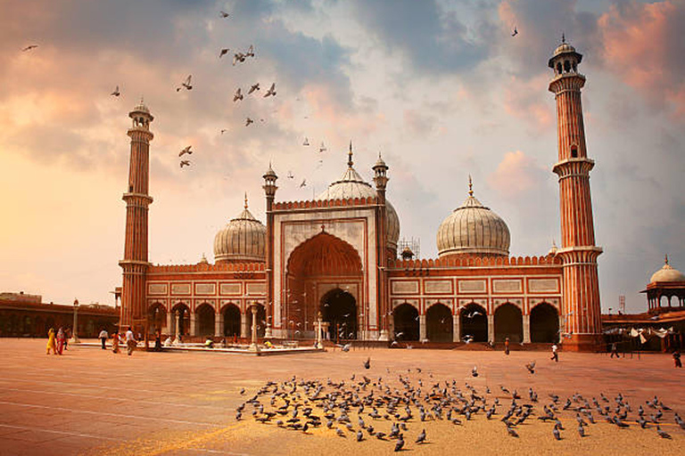 Delhi: Private Tour of Old and New Delhi City for One Day