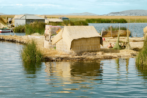 Puno: Lake Titicaca Tour with Uros Islands & Lunch