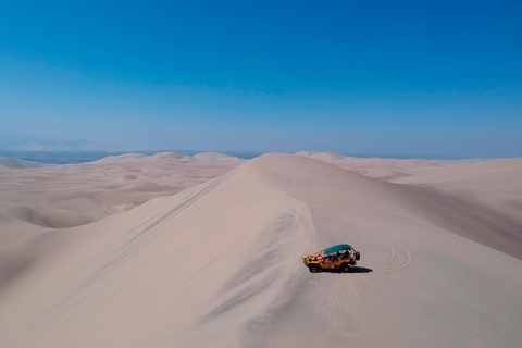 From Lima: Paracas and Huacachina Day Trip with Buggy Ride