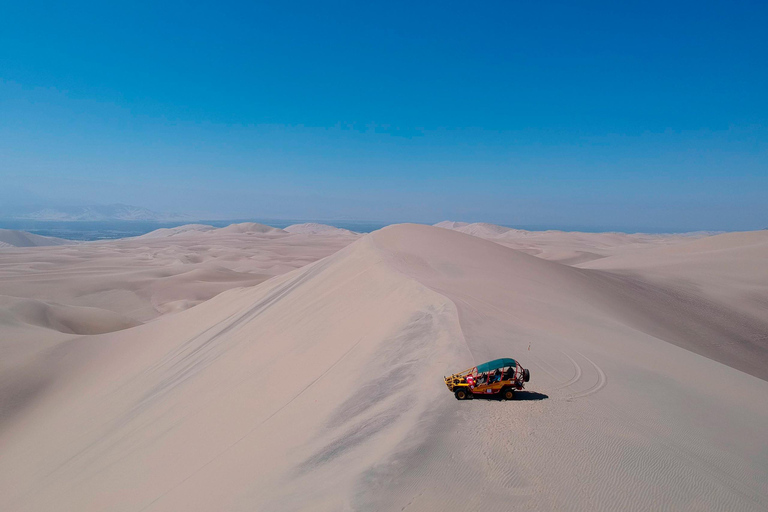 From Lima: Paracas and Huacachina Day Trip with Buggy Ride