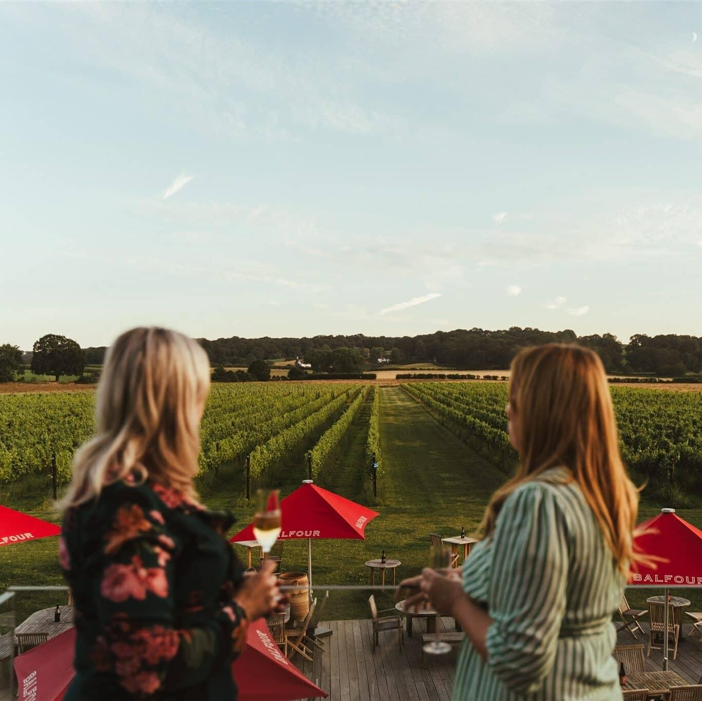Kent: Balfour Vineyard Wanderung und Weinverkostung