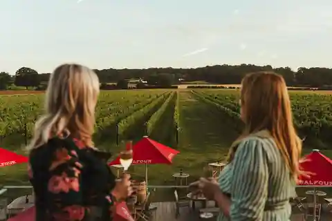 Kent: Balfour Vineyard Walk and Wine Tasting