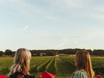Kent: Balfour Vineyard Walk and Wine Tasting