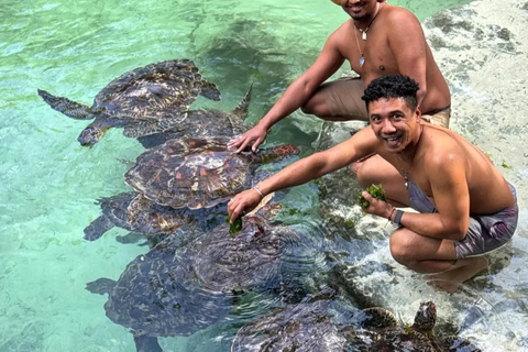 ZANZIBAR: Sea Turtle Swimming & Feeding Experience in NUNGWI
