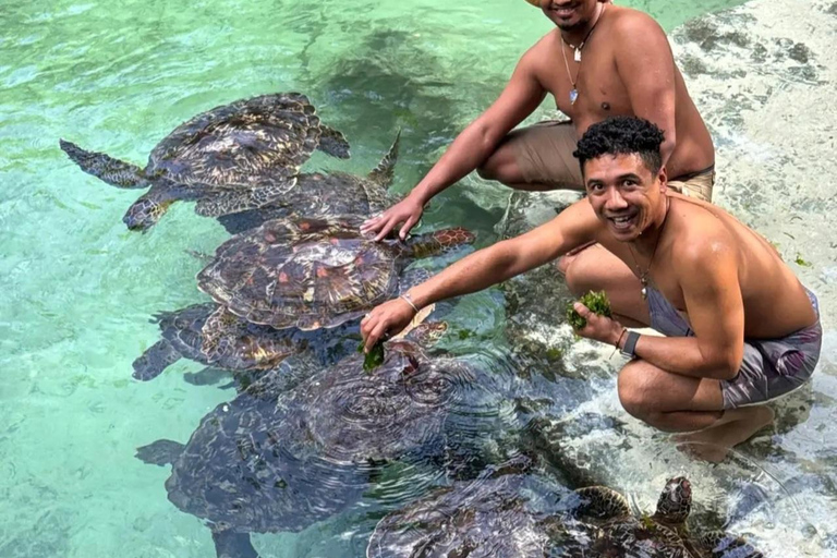 ZANZIBAR: Sea Turtle Swimming & Feeding Experience in NUNGWI