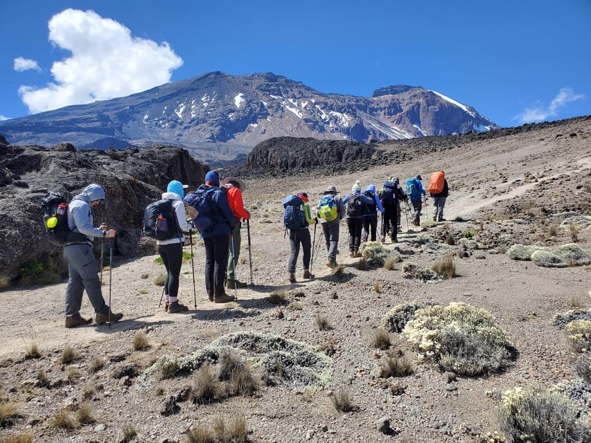 6 Jours De Trekking Au Kilimandjaro Sur La Route De Marangu GetYourGuide