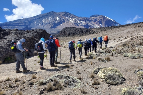 6 days kilimanjaro trekking to marangu route