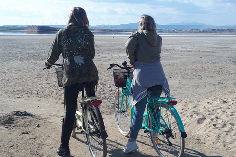 Larnaca: Salt Lake & Cultural Highlights Guided Bike Tour