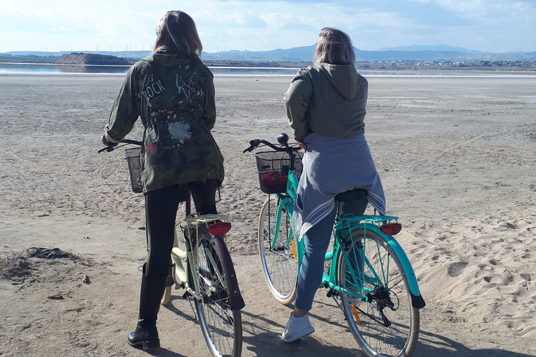 Larnaca: Salt Lake & Cultural Highlights Guided Bike Tour