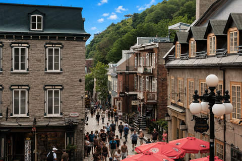 Private Quebec City Tour in a Volkswagen ID. Buzz