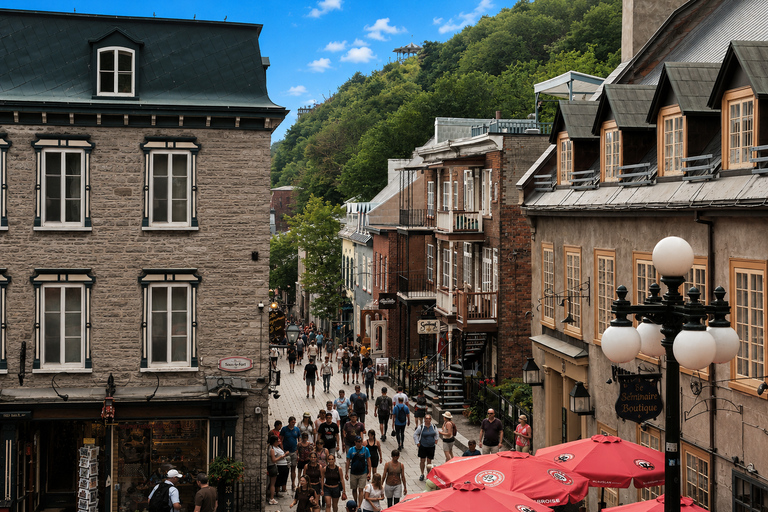 Private Quebec City Tour in a Volkswagen ID. Buzz