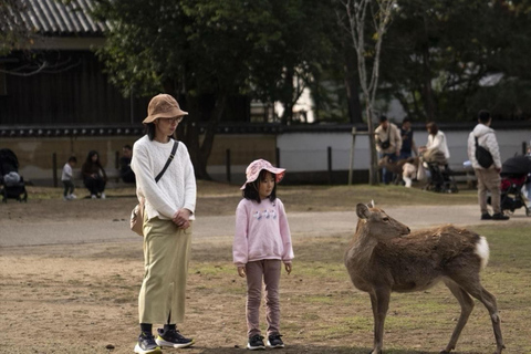 From Osaka/Kyoto: Nara Private Day Tour with Driver/Guide