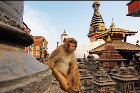 Alla scoperta di Kathmandu: tour in autobus delle principali attrazioni della città di un&#039;intera giornataDa Kathmandu: tour in autobus delle attrazioni principali della città