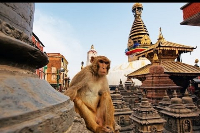 Alla scoperta di Kathmandu: tour in autobus delle principali attrazioni della città di un&#039;intera giornataDa Kathmandu: tour in autobus delle attrazioni principali della città