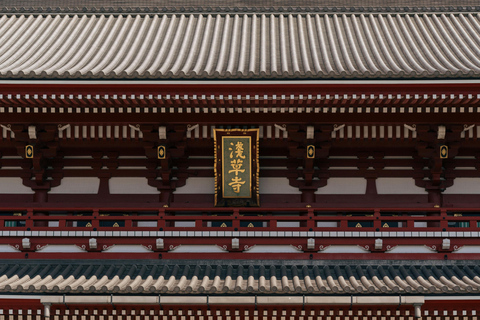 Tokyo: Private Nagano Zenko-ji & Snow Monkeys Day Trip Tokyo: Private Nagano Toyota Velfire (1–6 persons)