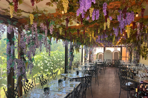 Florence: Pisa, Siena, & San Gimignano Day Trip with Lunch VIP SMALL GROUP